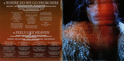 Wildfire Booklet (Scans) - pg1.jpg