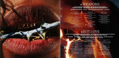 Wildfire Booklet (Scans) - pg3.jpg