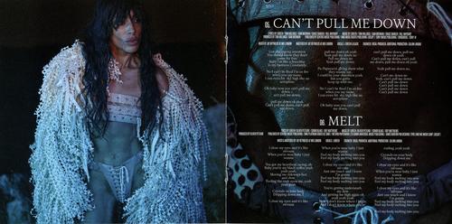 Wildfire Booklet (Scans) - pg4.jpg