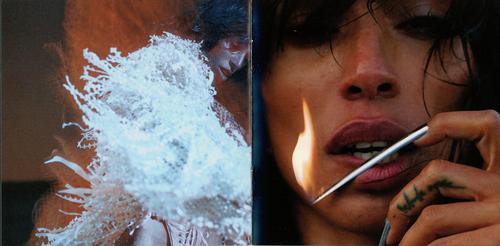 Wildfire Booklet (Scans) - pg6.jpg