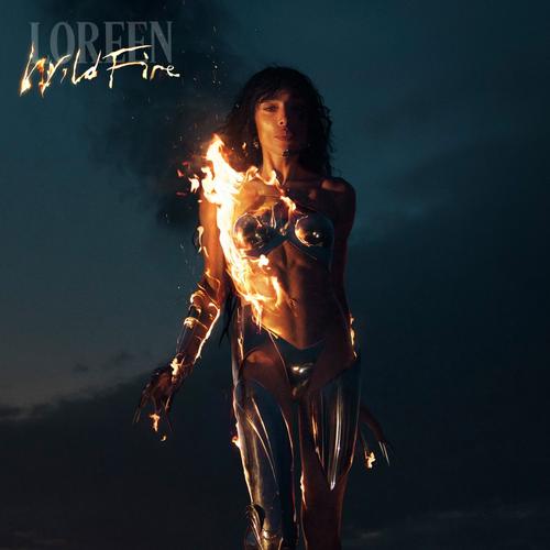 Wildfire - Night-blank.jpg