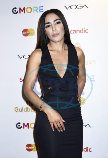 26 - January - Guldbaggen 2015, Sweden - F201501270357901.jpeg