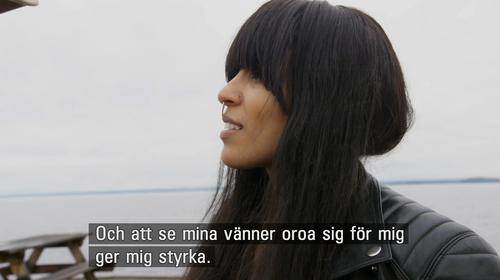 28 - November - Moraeus med mera, Sweden - moraeus12.jpg