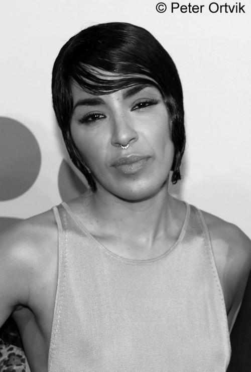 18 - January - Guldbaggen 2016, Sweden - DNBDBdiXbs4.jpg