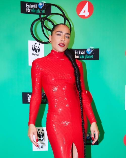 26 - August - En kväll för vår planet, Sweden - 241212987_455296125542170_2537136935859826405_n~0.jpg