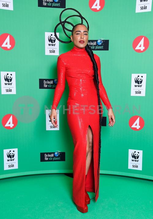 26 - August - En kväll för vår planet, Sweden - sdl5ot8-H8F-aI_WatermarkPreview.jpg