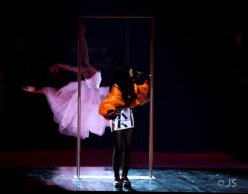 26 - February - 01_03 - Art On Ice, Switzerland (© Julia Fromisland) - 1900149_660742463982428_395021099_n.jpg