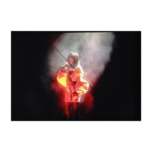 26 - February - 01_03 - Art On Ice, Switzerland (© Julia Fromisland) - b1a77f90a0de11e3927d12fd8d397d26_8.jpg