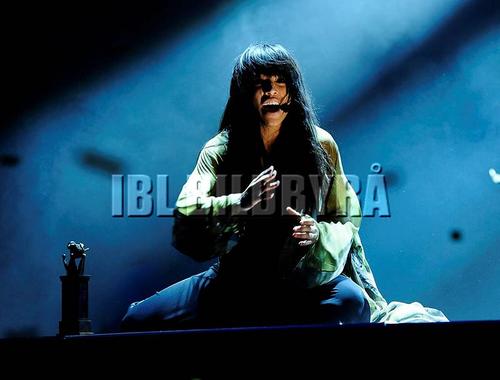 Performance - 377_037189.jpg