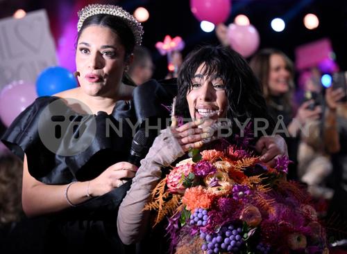 25 - February - After Performance, Malmö - sdlSPzWZurw1BE_WatermarkPreview.jpg