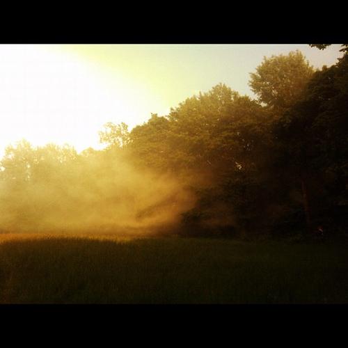 Euphoria - BTS - euphoria_28329.jpg