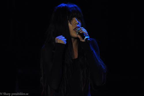 Julgalan 2011, Sweden - tumblr_mwmm1eh5C71rx6sa7o1_1280.png