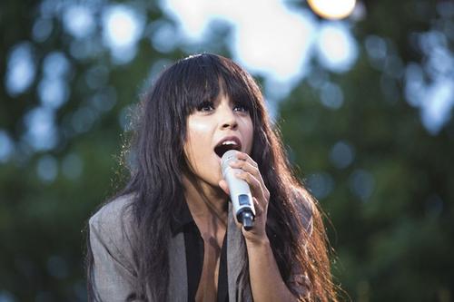 10 - July - Allsang på Skansen, Sweden - skansen_281229.jpg