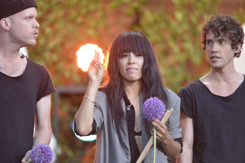 10 - July - Allsang på Skansen, Sweden - skansen_283329.jpg