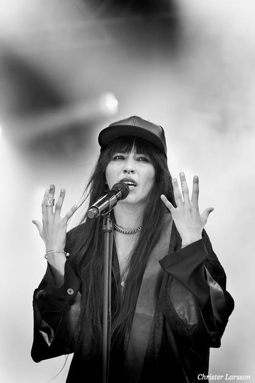 27 - June - Volvo Ocean Race, Sweden (© Christer Larsson, John Magnusson, Fotoscenen.se) - volvo_281129.jpg