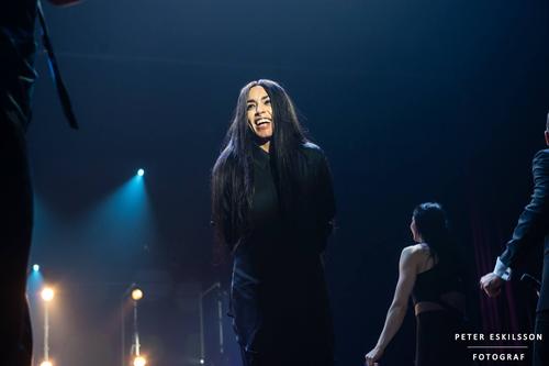 27 - November - Julgalan 2015 - Halmstad, Sweden (© Peter Eskilsson, Per Jahnke) - 11230800_1088504424495845_3633776196877440223_o.jpg