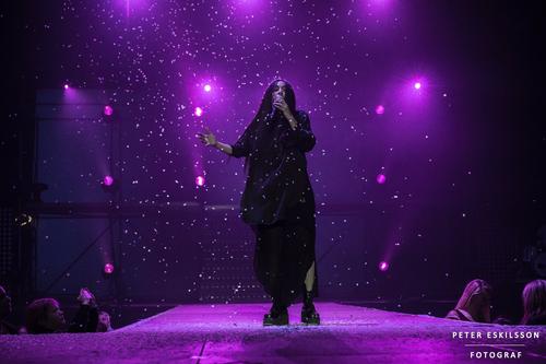 27 - November - Julgalan 2015 - Halmstad, Sweden (© Peter Eskilsson, Per Jahnke) - 12309768_1088721944474093_1400531319504338743_o.jpg