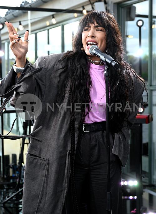 15 - July - Tilde, Sweden - sdl0OL_b5JJrj4_WatermarkPreview.jpg