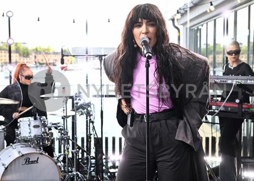 15 - July - Tilde, Sweden - sdl8NJKKAf8FMc_WatermarkPreview.jpg