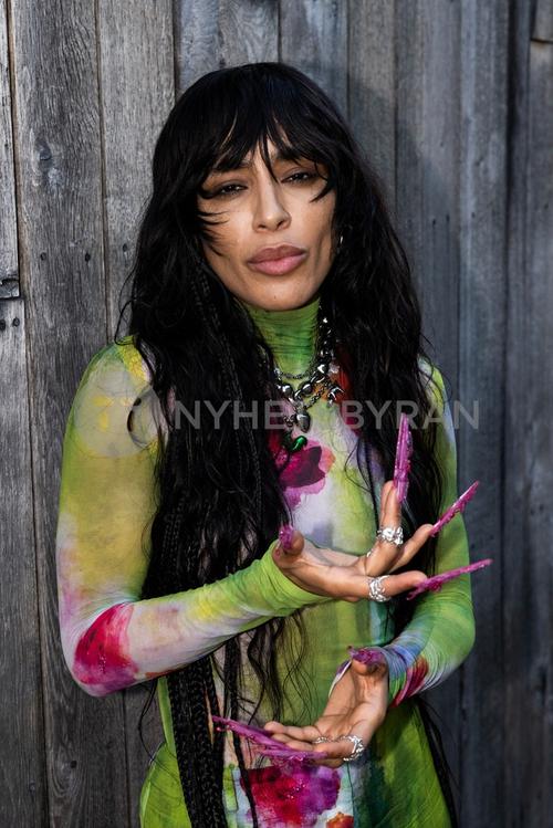 27 - June - Allsång på Skansen, Sweden - sdl_cg6-HeuEXw_WatermarkPreview.jpg