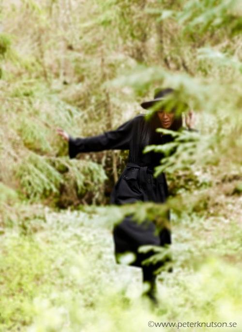 Peter Knutson (Copyright © Peter Knutson) - peterknutson_28829.jpg