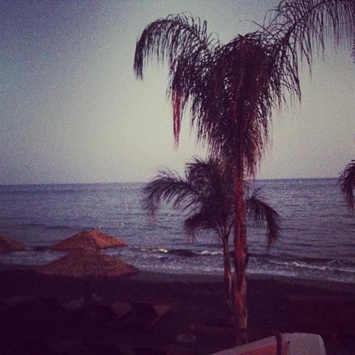 2013 - 49b91746f09811e2891f22000a1f931b_7.jpg