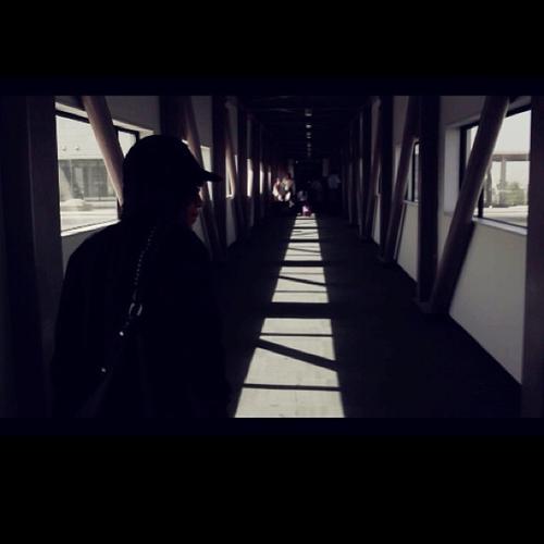 2013 - 7dc37c6a159711e3ba2422000a1f9376_7.jpg