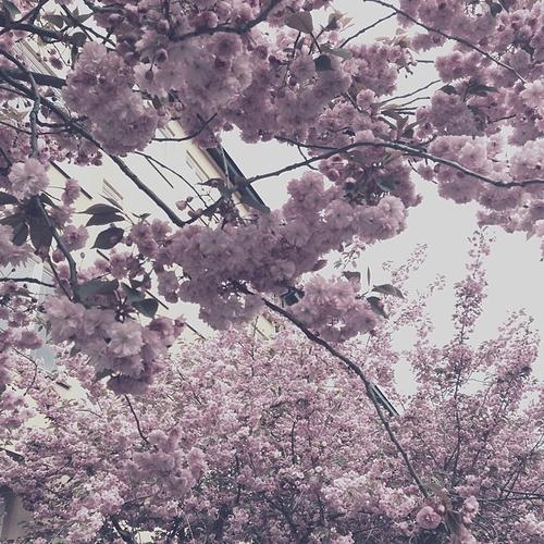 2014 - 10375882_1473755006190777_1965471637_n.jpg