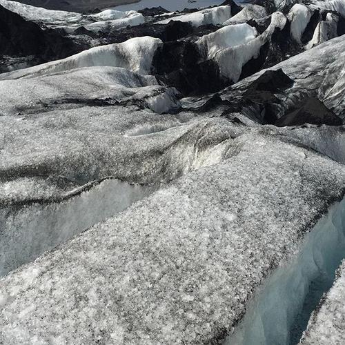 2015 - 11348236_894056690667710_1188170169_n.jpg