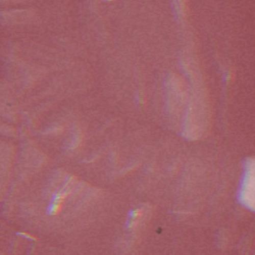 2015 - 928601_336140573249364_1730497227_n.jpg