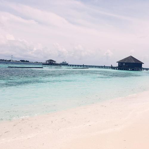 2016 - 13525451_1162448543785549_1179686147_n.jpg