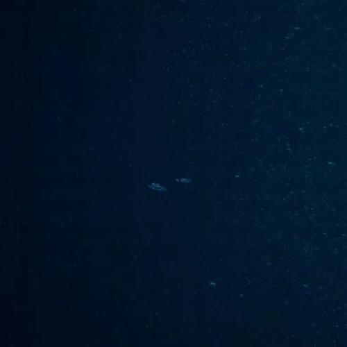 2017 - 21042544_165293867362613_1247724399335833600_n.jpg