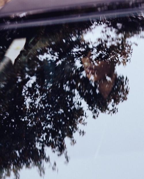 2018 - loreenofficial_250380191374671770378975568706080319471616n1_2832529.jpg