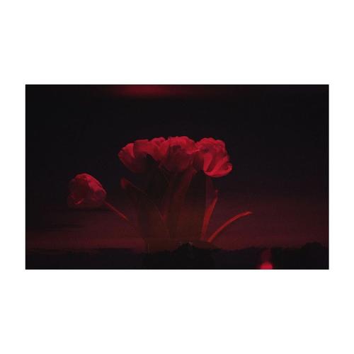 2021 - 242952260_288655392784518_1180811573552002268_n.jpg