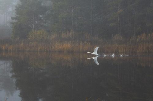 2022 - 313937082_487301896675345_7976498681176002581_n.jpg