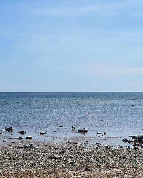 2023 - instagram_2818129.jpg