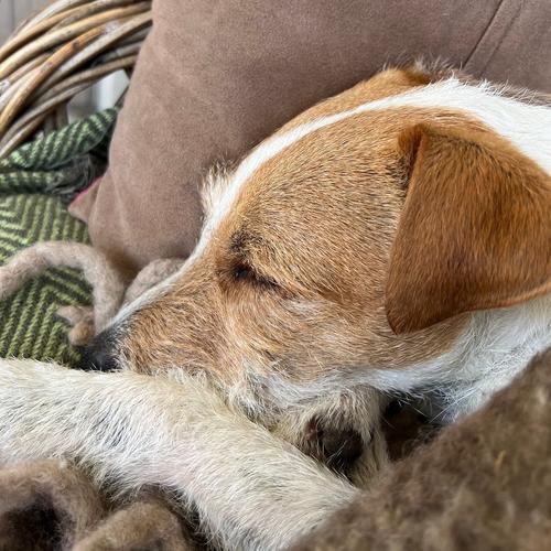 2024 - 450743649_420674620973191_5826785206364978044_n.jpg