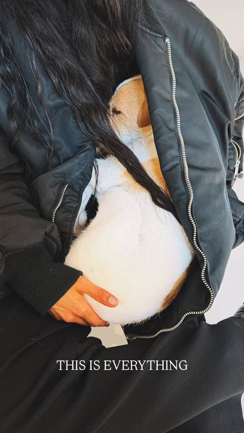 2026 - 20260314_131458.jpg